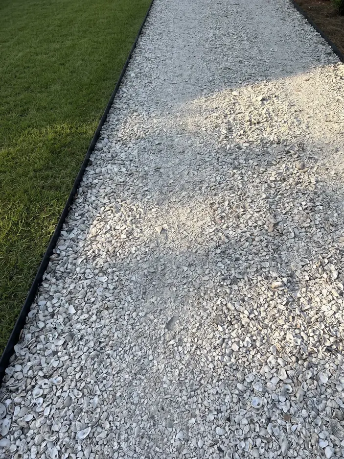 A crushed oyster shell path with a steel edge along the lawn