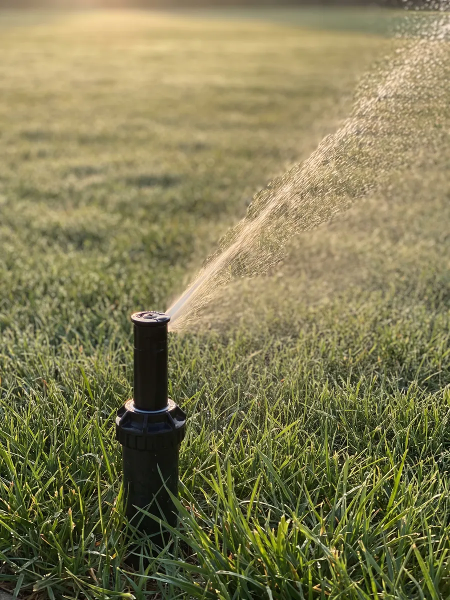 A spray head watering a lawn at first light
