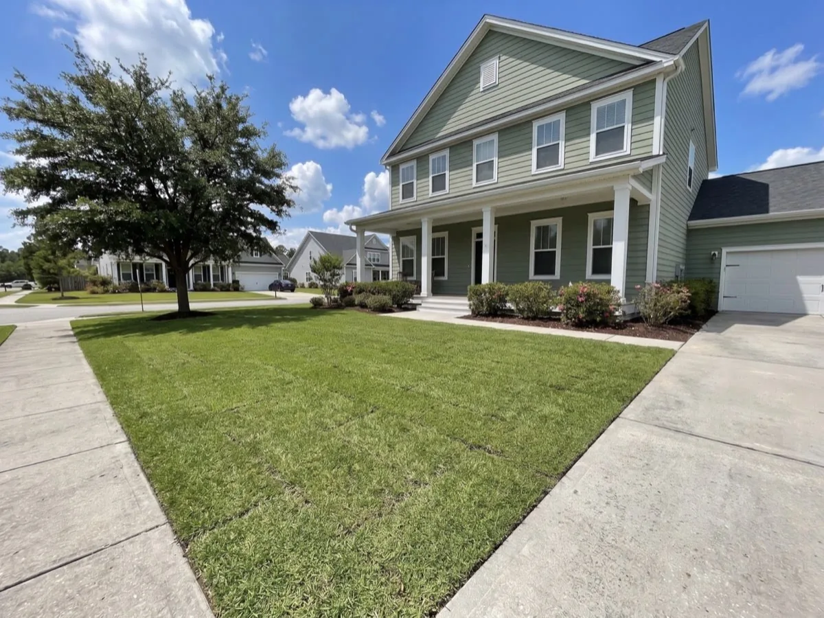 New sod laid tight to the walk in front of a house
