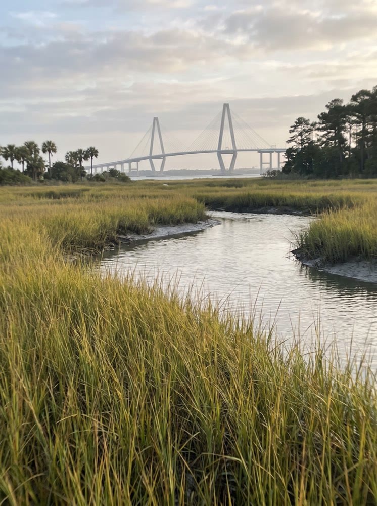 The Ravenel Bridge across a Lowcountry salt marsh at dawn