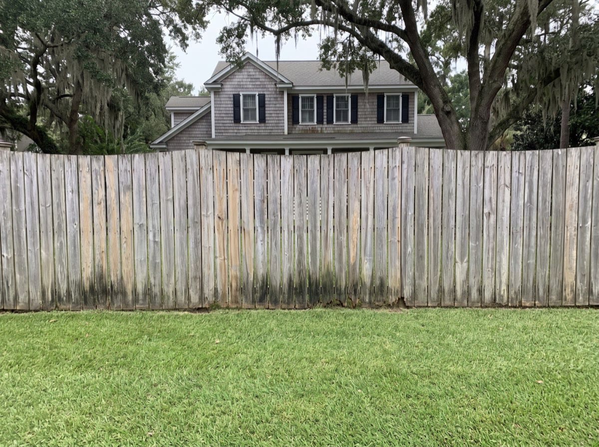 An old gray six foot wood privacy fence, split and sagging, before replacement